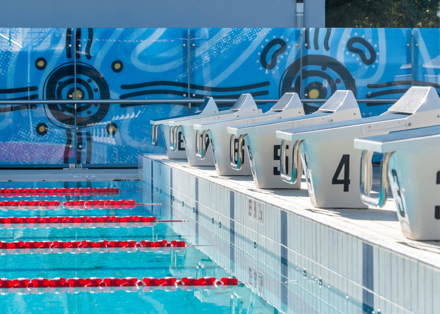 Pool nsw8